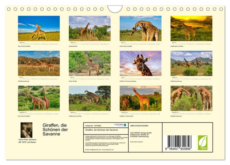 Produktbild: Giraffen, die Sch&ouml;nen der Savanne (Wandkalender 2026 DIN A4 quer), CALVENDO Monatskalender