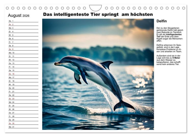 Produktbild: Tierische Rekorde (Wandkalender 2026 DIN A4 quer), CALVENDO Monatskalender