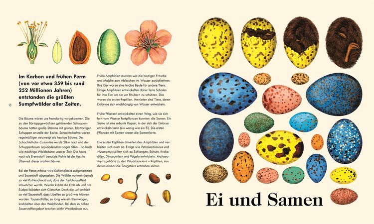 Produktbild: Das Wunder des Lebens