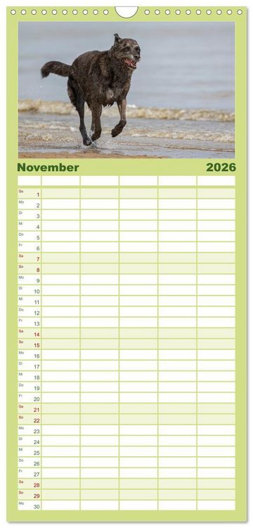 Produktbild: Familienplaner 2026 - Hunde Action mit 5 Spalten (Wandkalender, 21 x 45 cm) CALVENDO