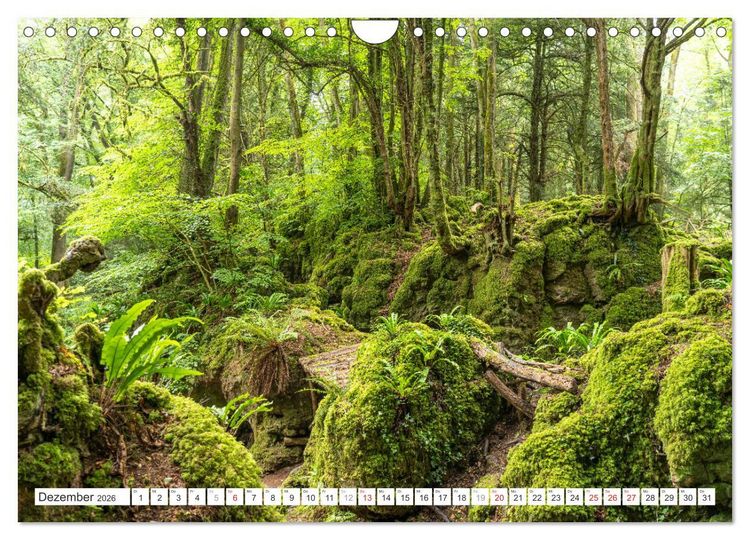 Produktbild: Faszination Naturwunder (Wandkalender 2026 DIN A4 quer), CALVENDO Monatskalender