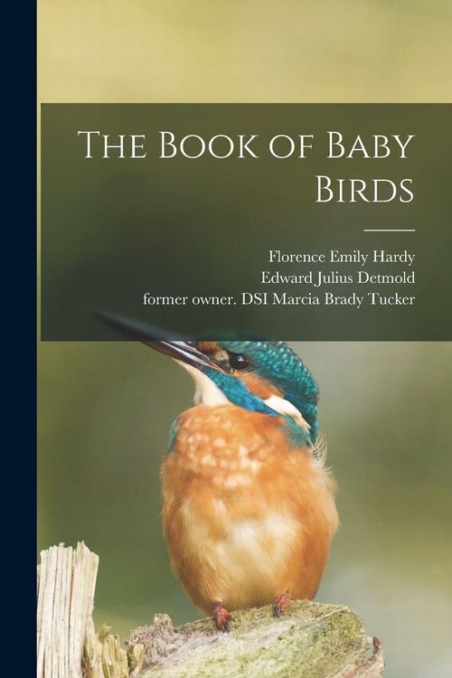 Produktbild: The Book of Baby Birds