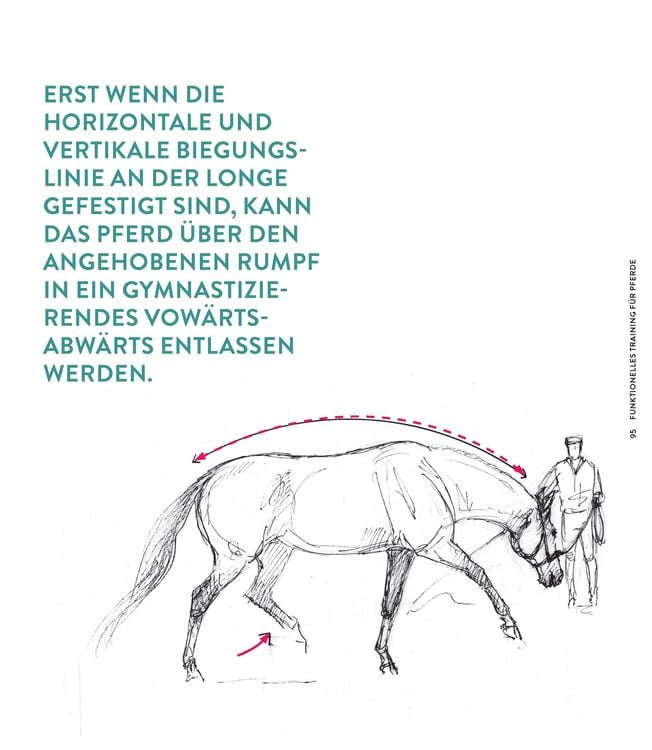 Produktbild: Die Kraft der Diagonalen