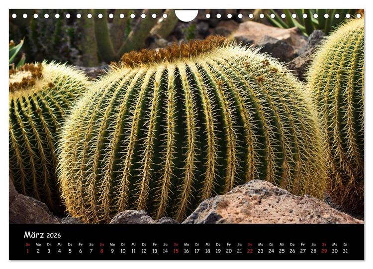Produktbild: Lanzarote (Wandkalender 2026 DIN A4 quer), CALVENDO Monatskalender