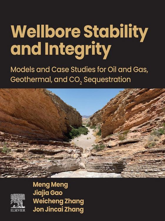 Produktbild: Wellbore Stability and Integrity