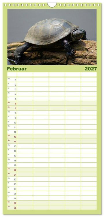 Produktbild: Familienplaner 2027 - Das Leben der Schildkr&ouml;ten mit 5 Spalten (Wandkalender, 21 x 45 cm) CALVENDO