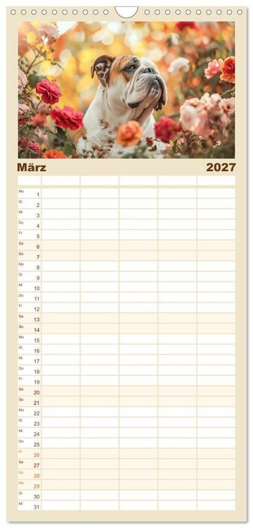 Produktbild: Familienplaner 2027 - Englische Bulldoggen im Bl&uuml;tenmeer mit 5 Spalten (Wandkalender, 21 x 45 cm) CALVENDO
