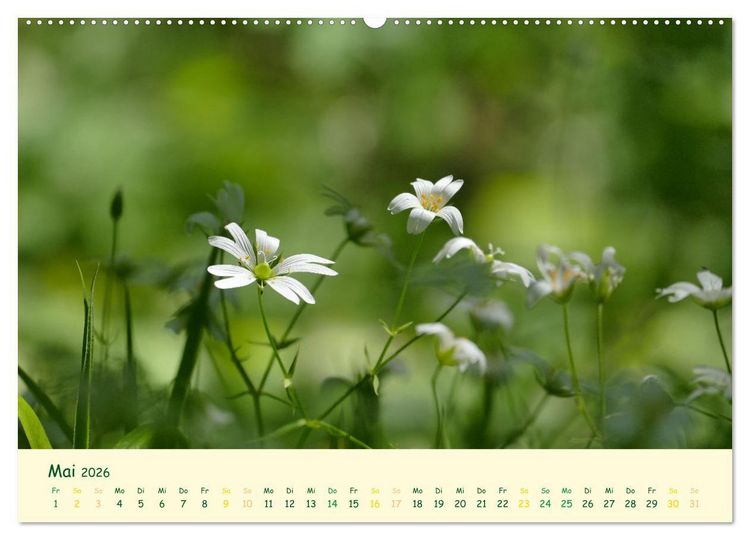 Produktbild: Naturwunder Bl&uuml;ten (hochwertiger Premium Wandkalender 2026 DIN A2 quer), Kunstdruck in Hochglanz
