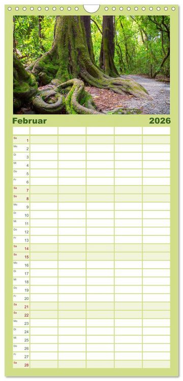 Produktbild: Familienplaner 2026 - Traumhafte Wege - Unterwegs auf Neuseelands S&uuml;dinsel mit 5 Spalten (Wandkalender, 21 x 45 cm) CALVENDO