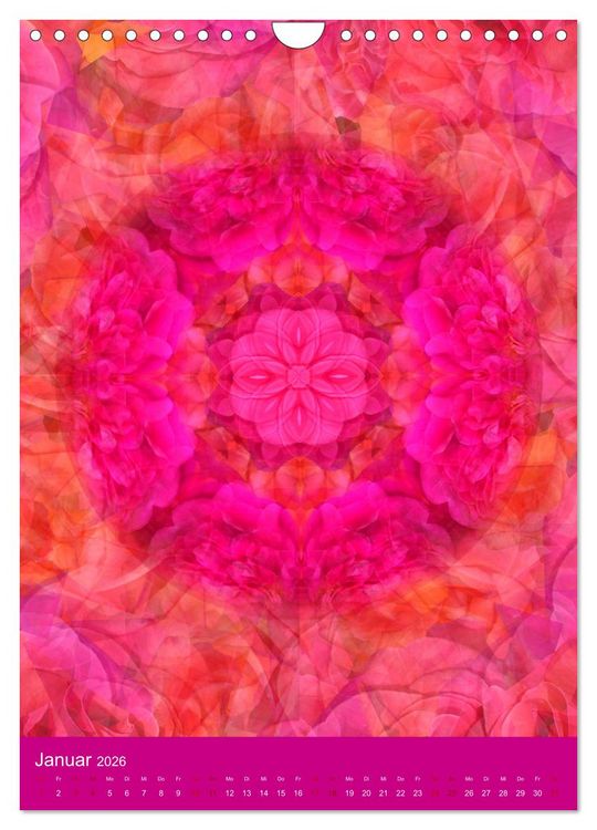 Produktbild: Meditative Pflanzenmandalas (Wandkalender 2026 DIN A4 hoch), CALVENDO Monatskalender
