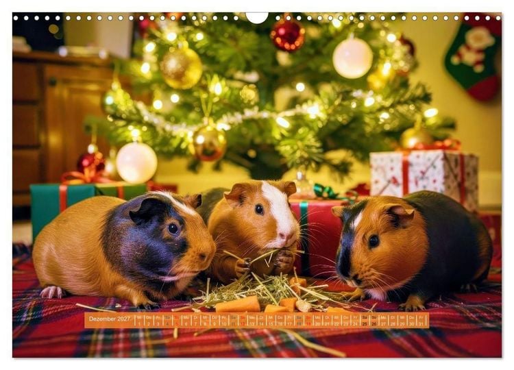 Produktbild: Kleine s&uuml;&szlig;e Meerschweinchen (Wandkalender 2027 DIN A3 quer), CALVENDO Monatskalender