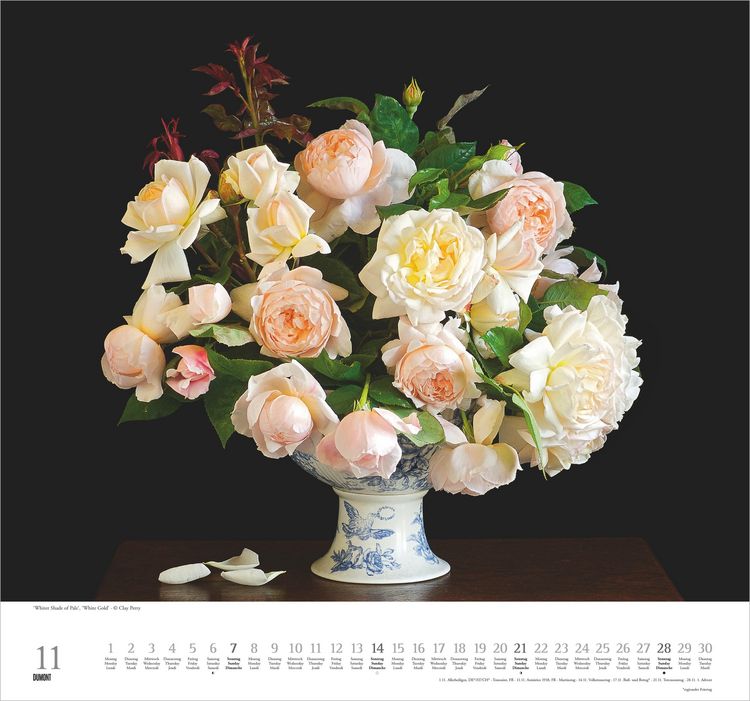 Produktbild: Geliebte Rosen 2027