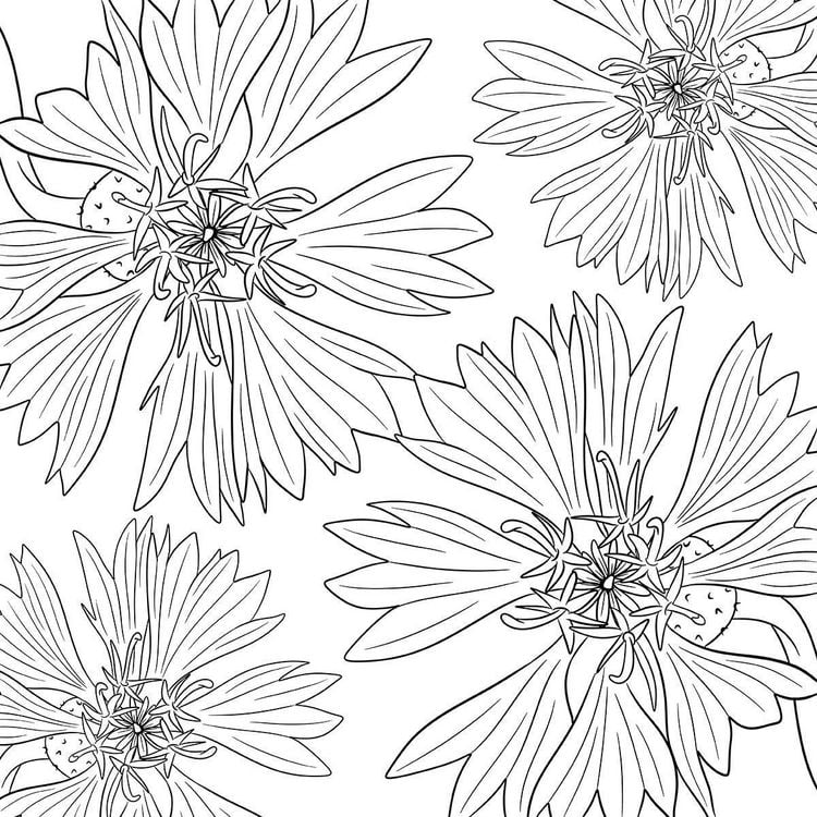 Produktbild: Colorful World - Bl&uuml;tentanz