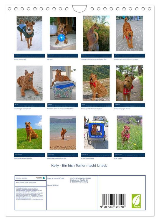 Produktbild: Kelly - Ein Irish Terrier macht Urlaub (Wandkalender 2026 DIN A4 hoch), CALVENDO Monatskalender