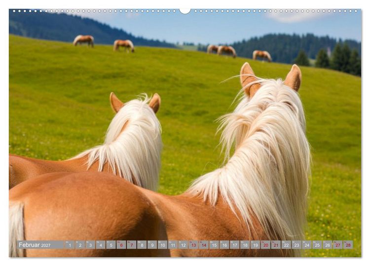 Produktbild: Alpent&auml;ler und Haflinger Pferde (Wandkalender 2027 DIN A2 quer), CALVENDO Monatskalender