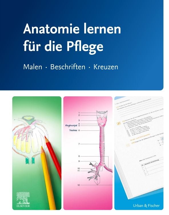 Produktbild: Anatomie lernen f&uuml;r die Pflege
