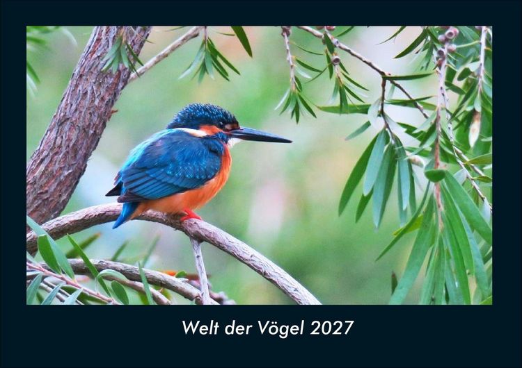Produktbild: Welt der V&ouml;gel 2027 Fotokalender DIN A4