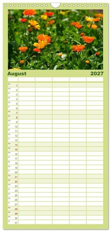 Produktbild: Familienplaner 2027 - Arzneipflanzen mit 5 Spalten (Wandkalender, 21 x 45 cm) CALVENDO