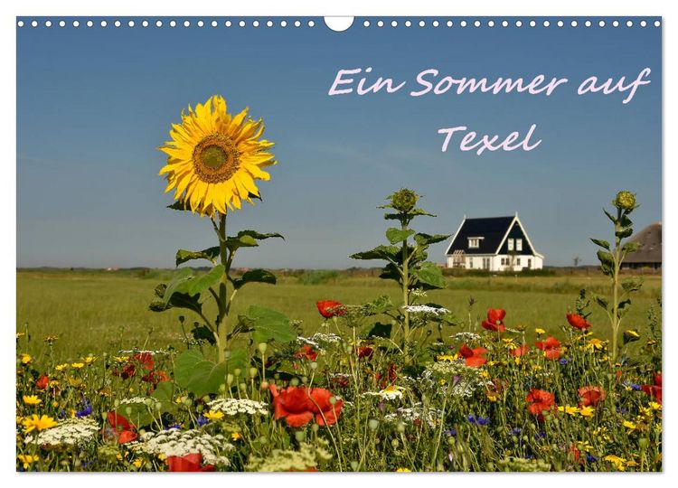 Produktbild: Ein Sommer auf Texel (Wandkalender 2026 DIN A3 quer), CALVENDO Monatskalender