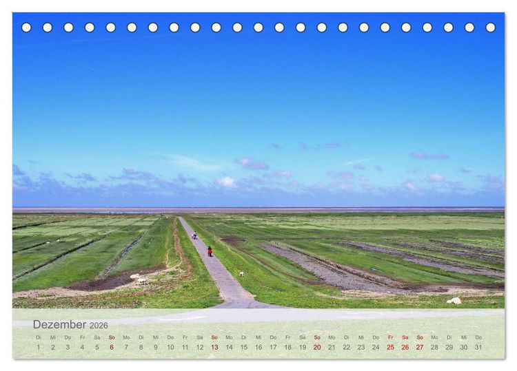 Produktbild: Salzwiesen, Schafe und Watt - Westerhever, ein Naturparadies an der Nordsee (Tischkalender 2026 DIN A5 quer), CALVENDO Monatskalender