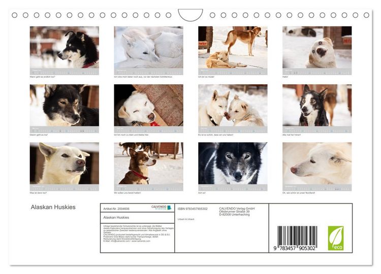 Produktbild: Alaskan Huskies (Wandkalender 2026 DIN A4 quer), CALVENDO Monatskalender