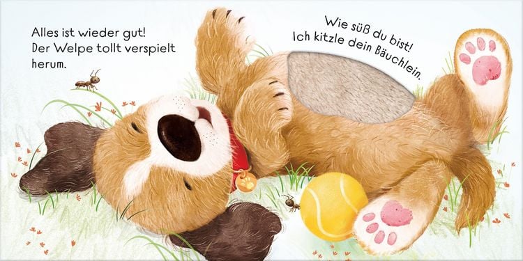Produktbild: Mein Alles-wieder-gut-Streichelbuch: Ich tr&ouml;ste dich, kleiner Hund!