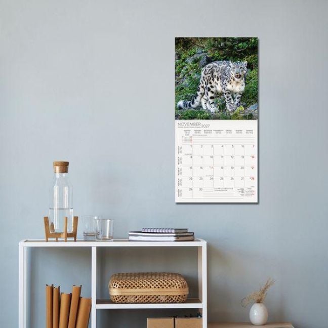 Produktbild: Big Cats 2027