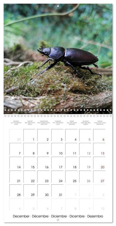Produktbild: Blt, S: Esp&egrave;ces de Nouvelle Aquitaine (Calendrier mural carr