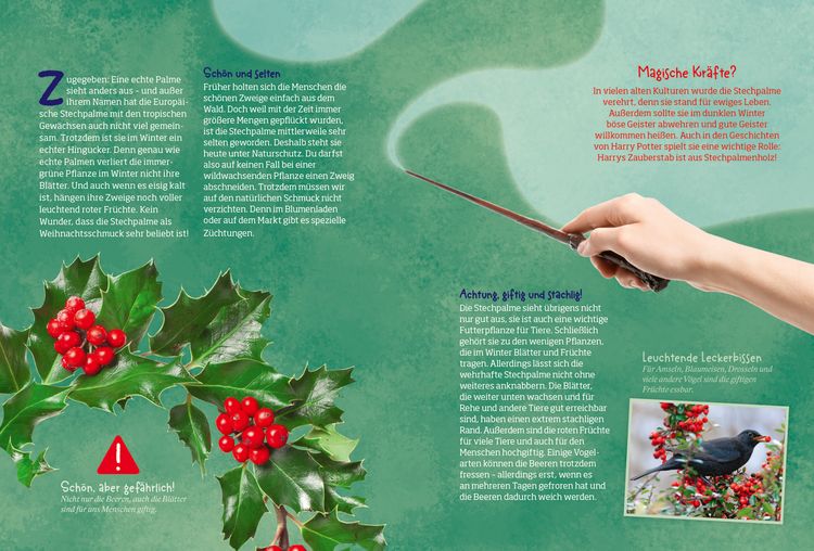 Produktbild: Mein WAS IST WAS Adventskalenderbuch 3