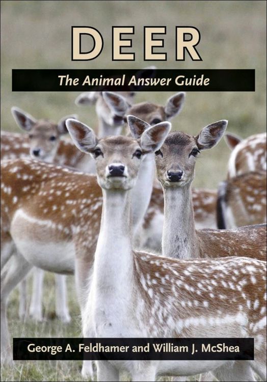 Produktbild: Deer