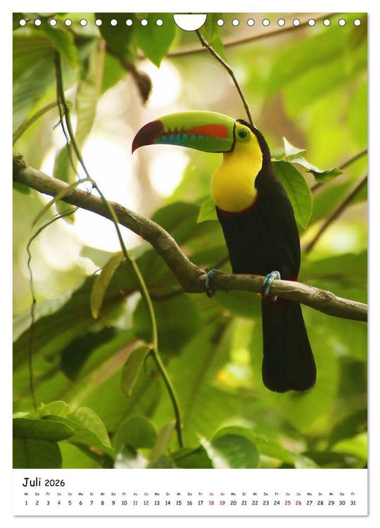 Produktbild: Costa Rica - Fauna & Flora (Wandkalender 2026 DIN A4 hoch), CALVENDO Monatskalender