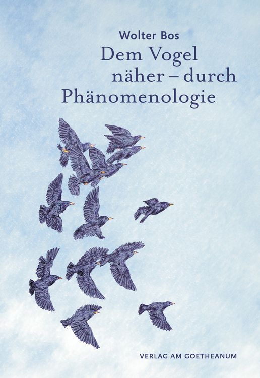 Produktbild: Dem Vogel n&auml;her &ndash; durch Ph&auml;nomenologie