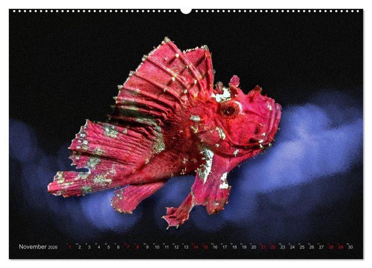 Produktbild: Artwork Unterwasser - Erlebnis Tauchen (hochwertiger Premium Wandkalender 2026 DIN A2 quer), Kunstdruck in Hochglanz