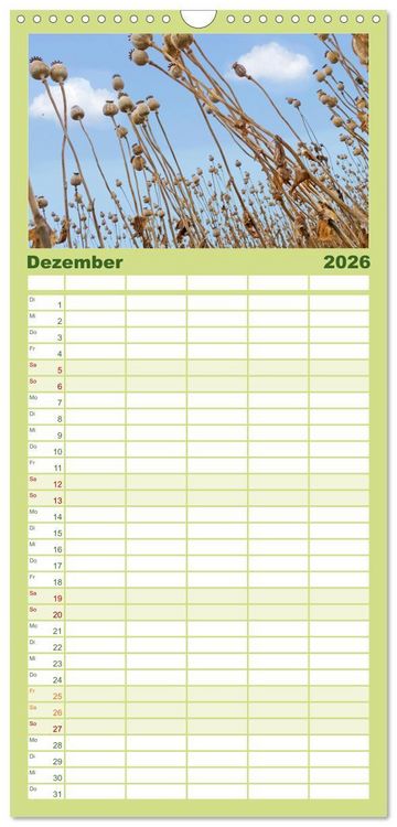 Produktbild: Familienplaner 2026 - Garten von unten. Ein Perspektivwechsel mit 5 Spalten (Wandkalender, 21 x 45 cm) CALVENDO