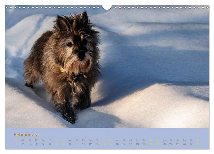 Produktbild: Cairns Forever (Wandkalender 2026 DIN A3 quer), CALVENDO Monatskalender