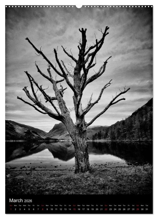 Produktbild: Journeys - Black & White (High Quality Premium Wall Calendar 2026 DIN A2 portrait),CALVENDO 12 Month Wall Calendar