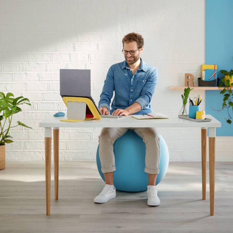Produktbild: LEITZ&reg; Sitzball Ergo Cosy Active, samtgrau