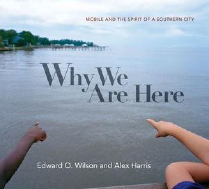 Produktbild: Why We Are Here: Mobile and the Spirit of a Southern City