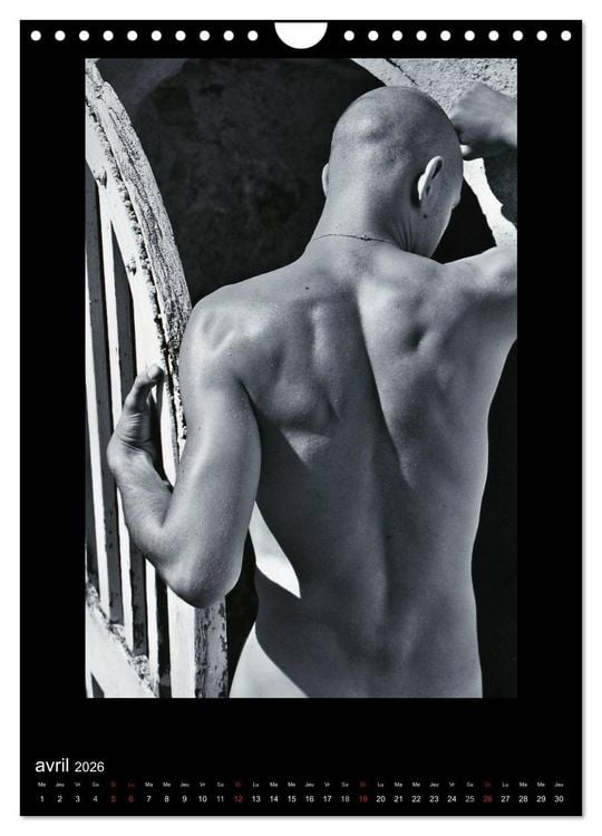 Produktbild: Au Masculin (Calendrier mural 2026 DIN A4 horizontal), CALVENDO calendrier mensuel