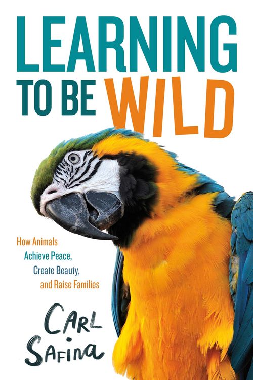 Produktbild: Learning to Be Wild (a Young Reader's Adaptation)
