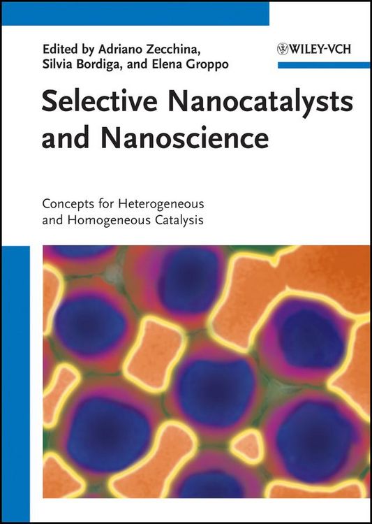 Produktbild: Selective Nanocatalysts and Nanoscience