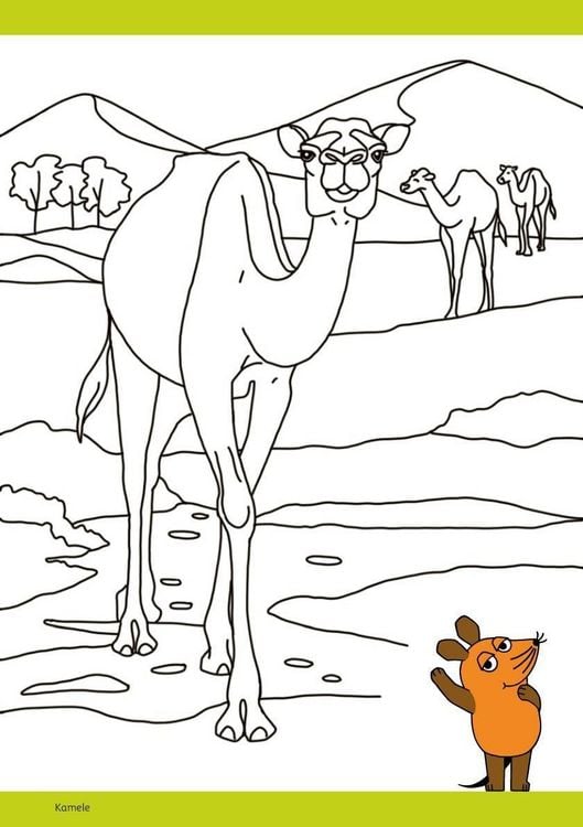 Produktbild: Die Maus - Malblock mit Sachwissen Natur & Tiere