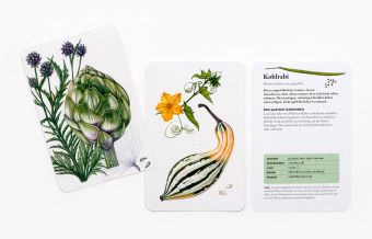 Produktbild: Das Saatgut-Sammelset