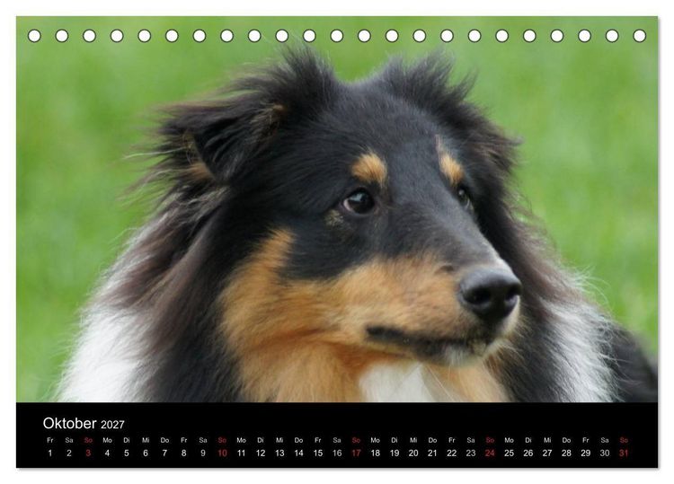 Produktbild: Die Welt der Haustiere (Tischkalender 2027 DIN A5 quer), CALVENDO Monatskalender