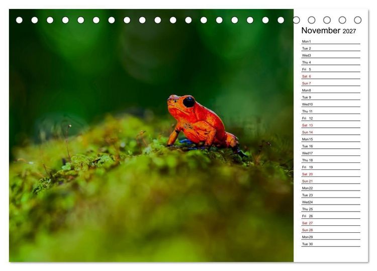 Produktbild: Feel the Wild &ndash; Costa Rica (Desk Calendar 2027 DIN A5 landscape), CALVENDO 12 Month DeskCalendar