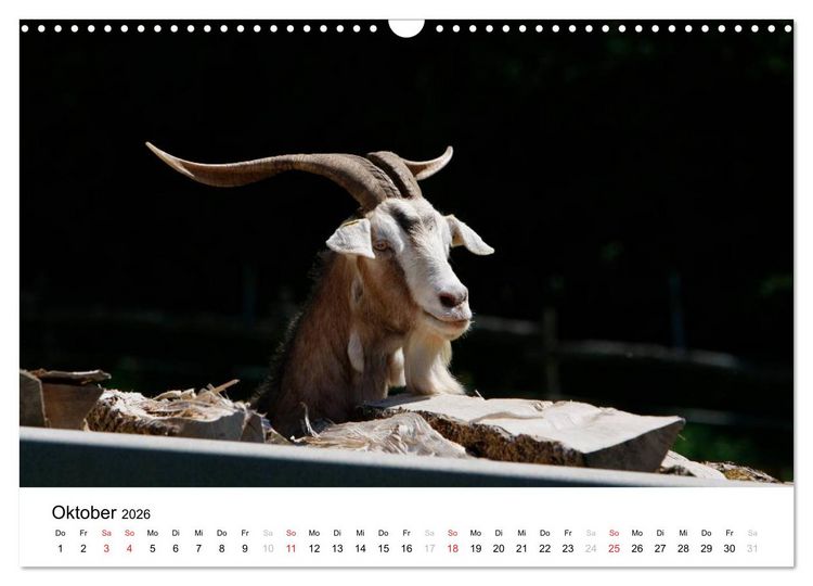 Produktbild: Bunte Welt des Bauernhofs (Wandkalender 2026 DIN A3 quer), CALVENDO Monatskalender