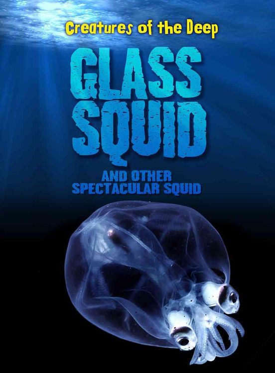 Produktbild: Glass Squid & Other Spectacula