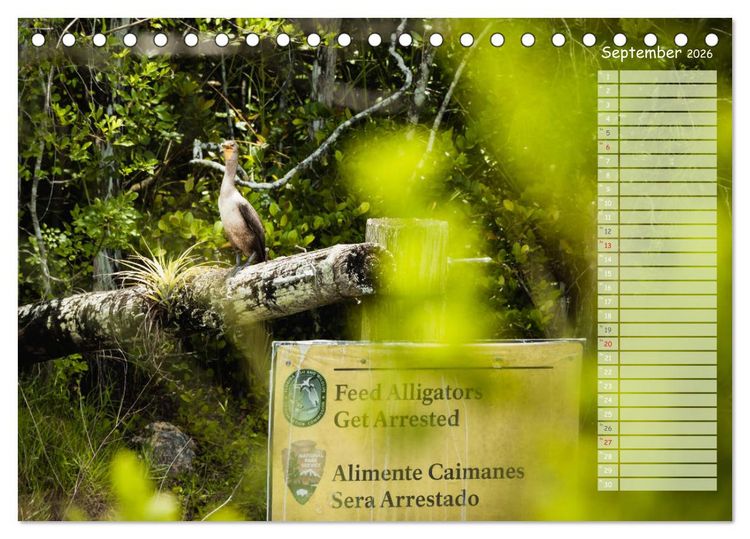Produktbild: Amerikanische Ostk&uuml;ste (Tischkalender 2026 DIN A5 quer), CALVENDO Monatskalender
