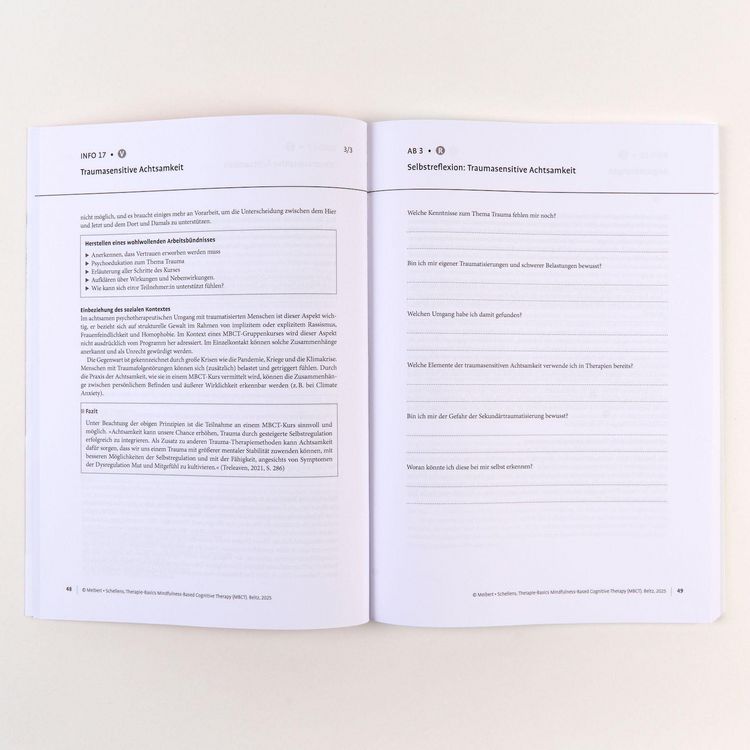 Produktbild: Therapie-Basics Mindfulness-Based Cognitive Therapy (MBCT)