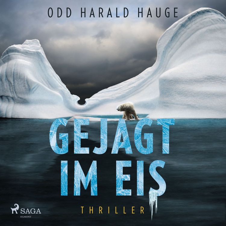 Produktbild: Gejagt im Eis - Thriller